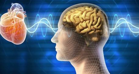 1 qMkSurQzl8bqH9F6F fkbQ